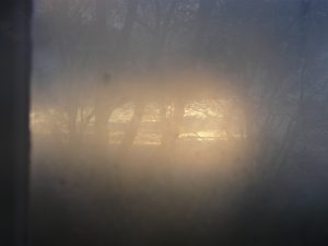 Mists in Villa Vallila
